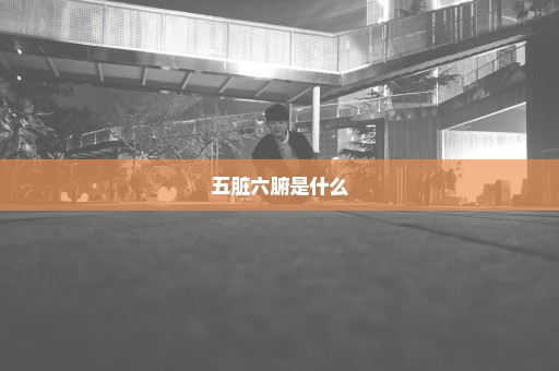 五脏六腑是什么