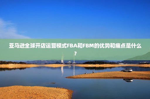 亚马逊全球开店运营模式FBA和FBM的优势和痛点是什么？