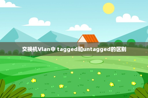 交换机Vlan中 tagged和untagged的区别