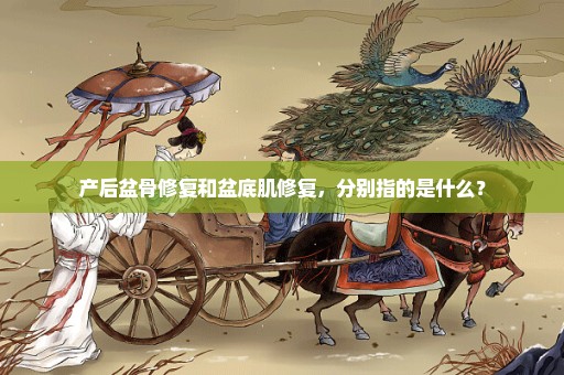 产后盆骨修复和盆底肌修复，分别指的是什么？