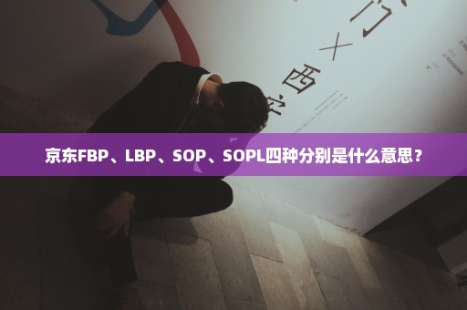 京东FBP、LBP、SOP、SOPL四种分别是什么意思？