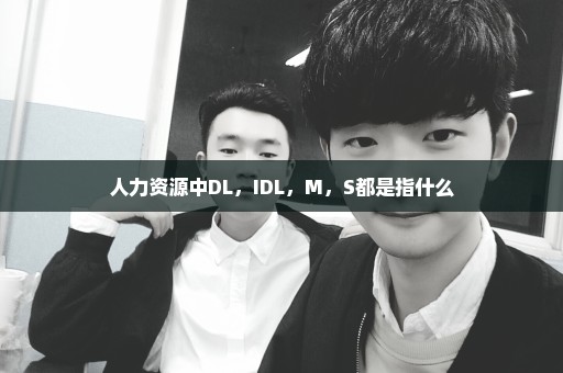 人力资源中DL，IDL，M，S都是指什么