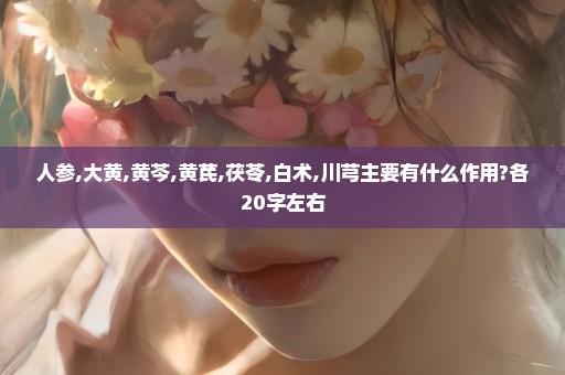 人参,大黄,黄芩,黄芪,茯苓,白术,川芎主要有什么作用?各20字左右