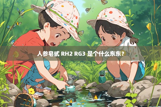 人参皂甙 RH2 RG3 是个什么东东？