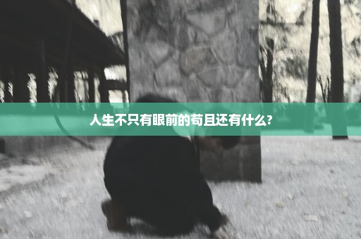 人生不只有眼前的苟且还有什么?