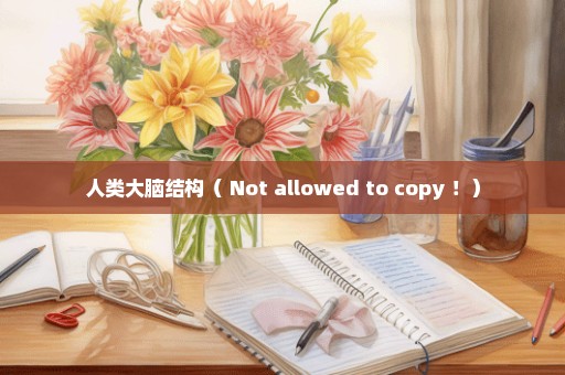 人类大脑结构（ Not allowed to copy ！）