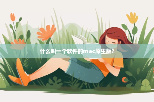 什么叫一个软件的mac原生版？