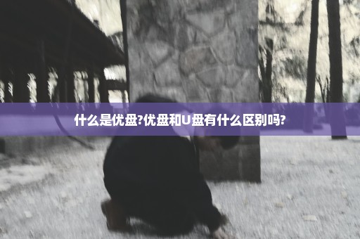 什么是优盘?优盘和U盘有什么区别吗?