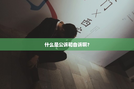 什么是公诉和自诉啊？