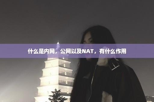 什么是内网，公网以及NAT，有什么作用