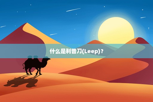 什么是利普刀(Leep)？