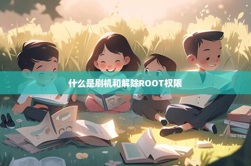 什么是刷机和解除ROOT权限