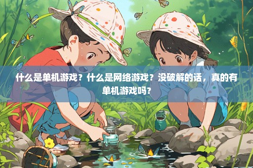 什么是单机游戏？什么是网络游戏？没破解的话，真的有单机游戏吗？