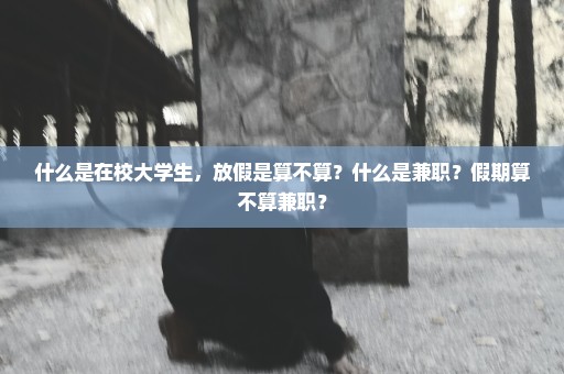 什么是在校大学生，放假是算不算？什么是兼职？假期算不算兼职？