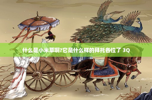 什么是小米草啊?它是什么样的拜托各位了 3Q