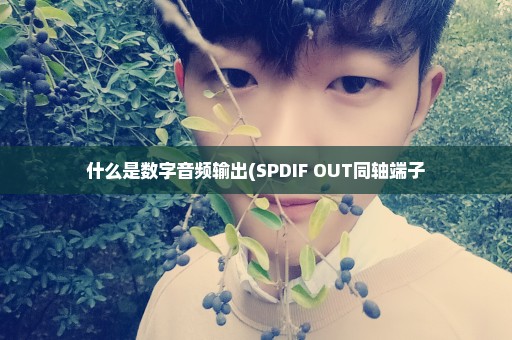 什么是数字音频输出(SPDIF OUT同轴端子