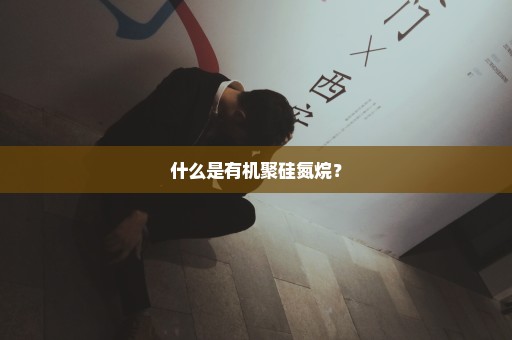 什么是有机聚硅氮烷？