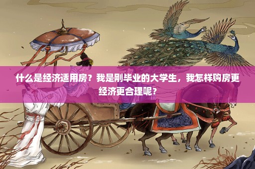 什么是经济适用房？我是刚毕业的大学生，我怎样购房更经济更合理呢？