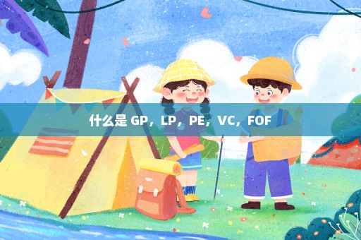 什么是 GP，LP，PE，VC，FOF