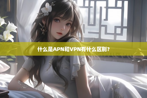 什么是APN和VPN有什么区别？