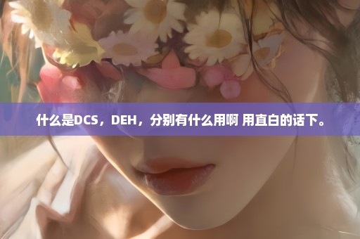 什么是DCS，DEH，分别有什么用啊 用直白的话下。