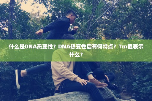 什么是DNA热变性？DNA热变性后有何特点？Tm值表示什么？