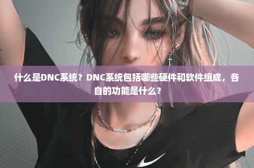 什么是DNC系统？DNC系统包括哪些硬件和软件组成，各自的功能是什么？