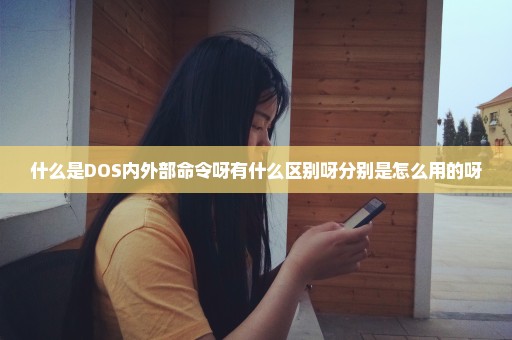 什么是DOS内外部命令呀有什么区别呀分别是怎么用的呀