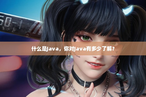 什么是Java，你对Java有多少了解？