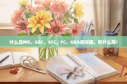 什么是MD，GBC，SFC，FC，GBA模拟器，有什么用！