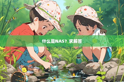 什么是NAS？求解答