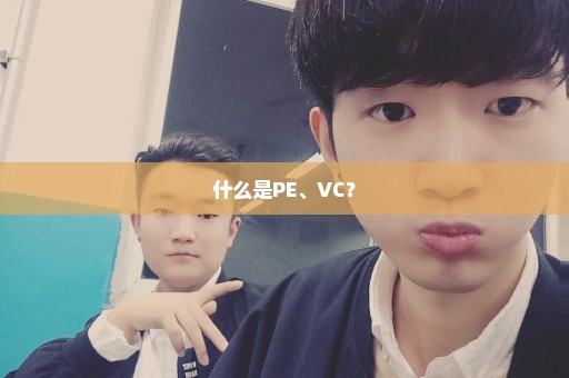 什么是PE、VC？