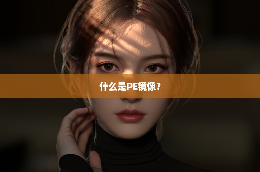 什么是PE镜像？