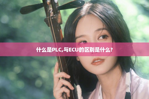 什么是PLC,与ECU的区别是什么?