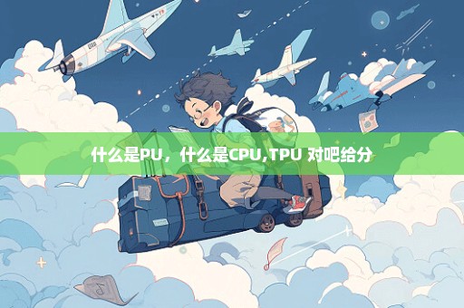 什么是PU，什么是CPU,TPU 对吧给分