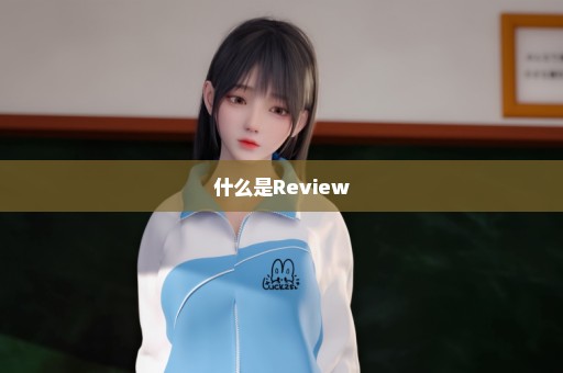 什么是Review