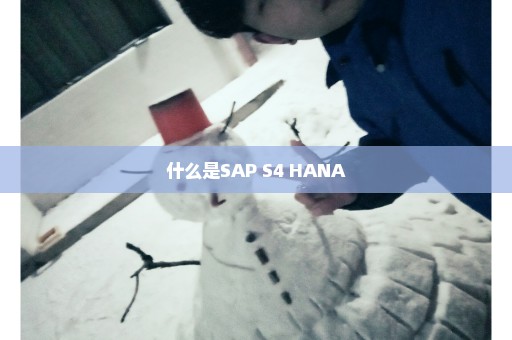 什么是SAP S4 HANA