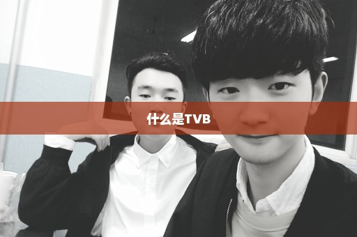 什么是TVB