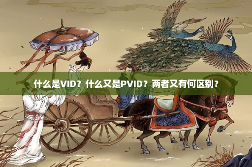 什么是VID？什么又是PVID？两者又有何区别？