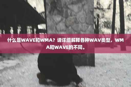 什么是WAVE和WMA？请详细解释各种WAV类型，WMA和WAVE的不同。