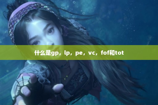 什么是gp，lp，pe，vc，fof和tot