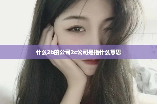 什么2b的公司2c公司是指什么意思