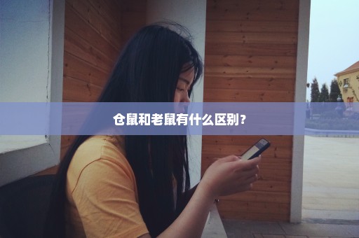 仓鼠和老鼠有什么区别？