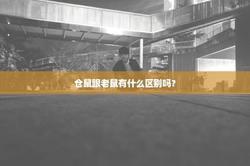 仓鼠跟老鼠有什么区别吗？