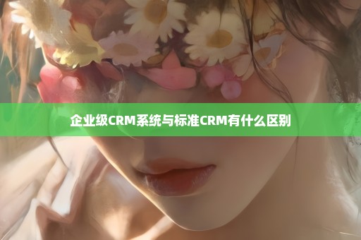 企业级CRM系统与标准CRM有什么区别