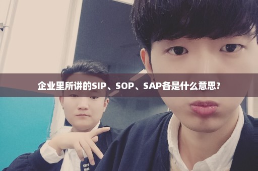 企业里所讲的SIP、SOP、SAP各是什么意思?