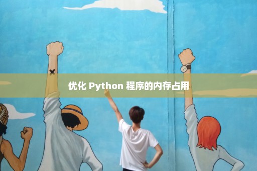 优化 Python 程序的内存占用