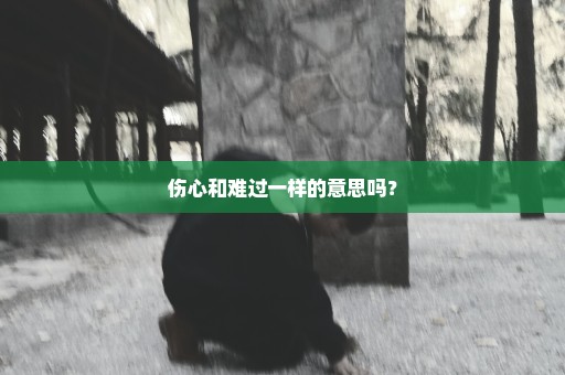 伤心和难过一样的意思吗？