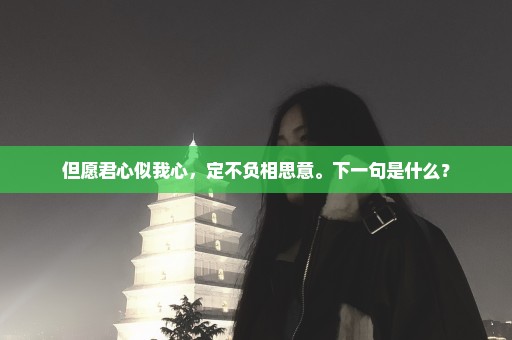 但愿君心似我心，定不负相思意。下一句是什么？