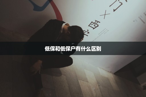 低保和低保户有什么区别